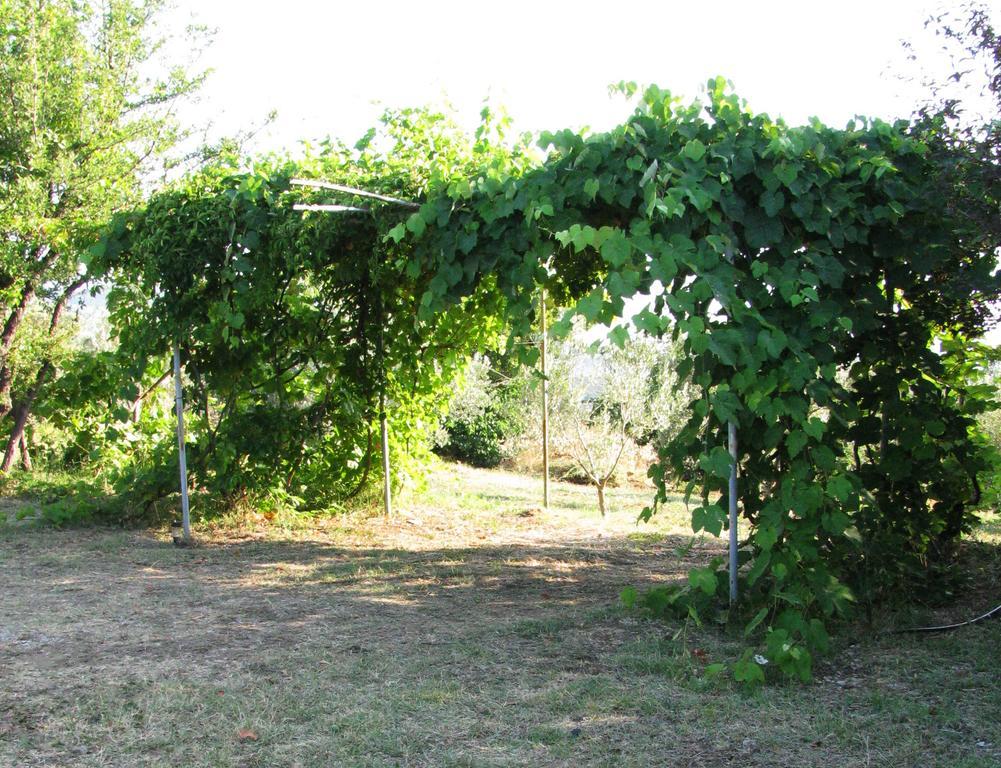 Holiday home Traditional Stonehouse Potistika