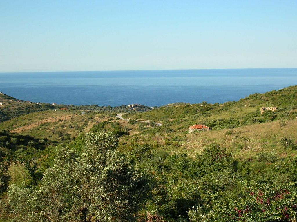Traditional Stonehouse Potistika